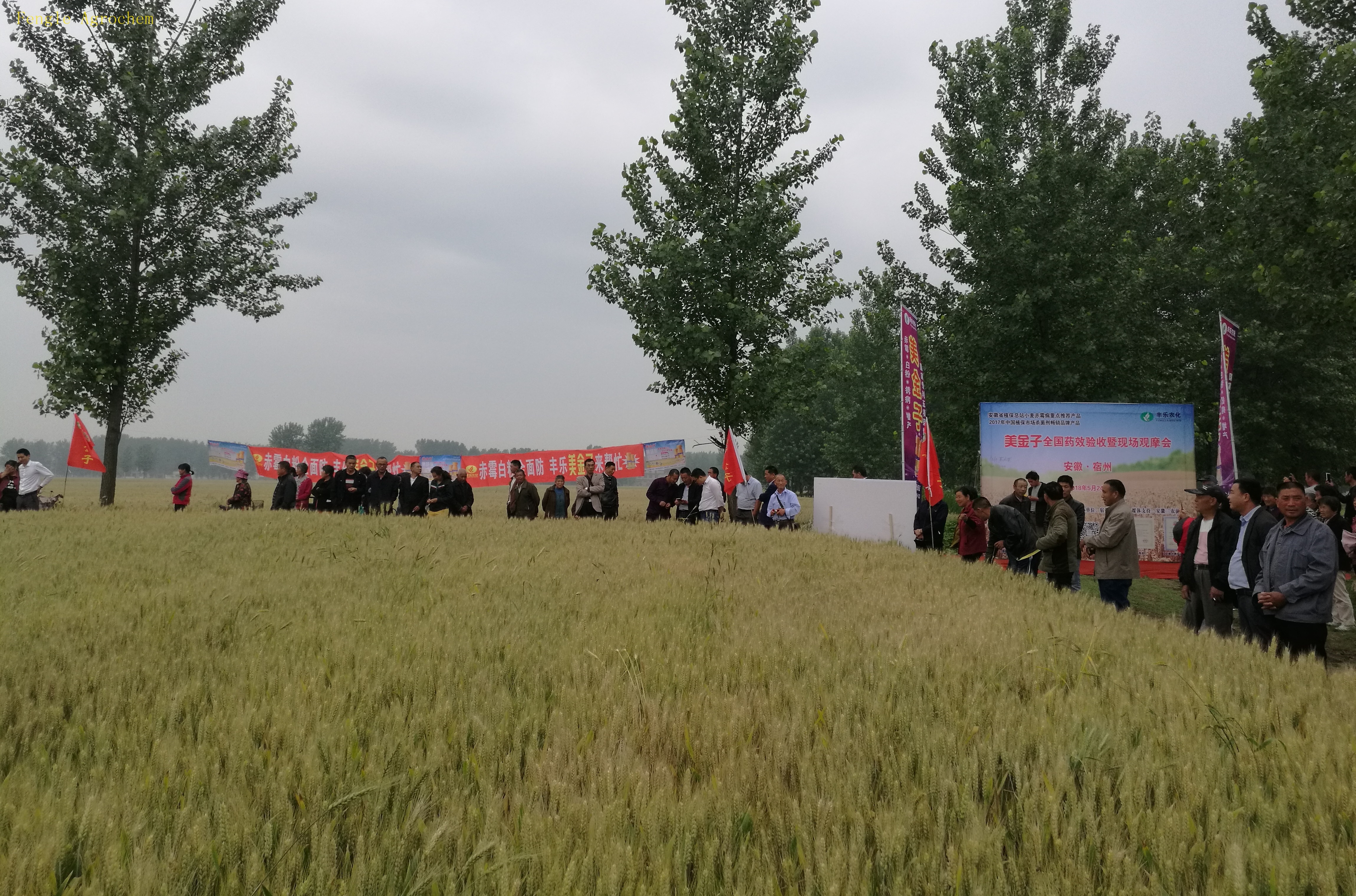 利来·国际(中国)最老牌有限公司官网