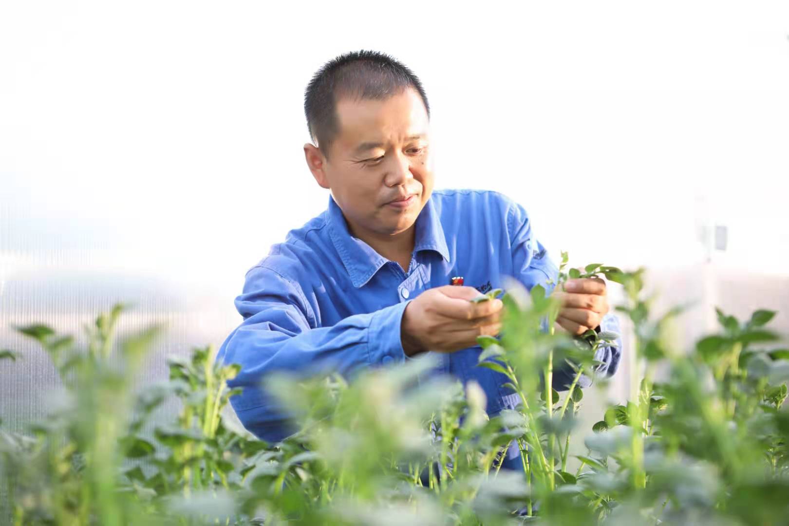 利来·国际(中国)最老牌有限公司官网